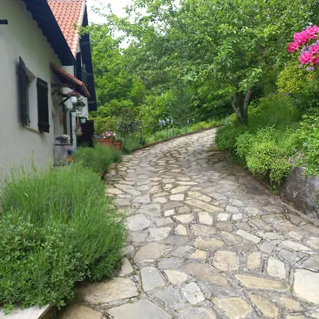 Le Camelie Del Bosco