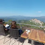 Le Camelie Del Bosco Baiardo