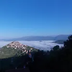 Le Camelie Del Bosco