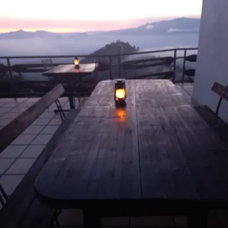 Le Camelie Del Bosco