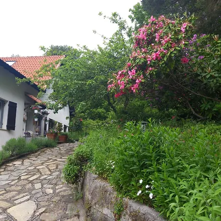 Le Camelie Del Bosco Bed & Breakfast