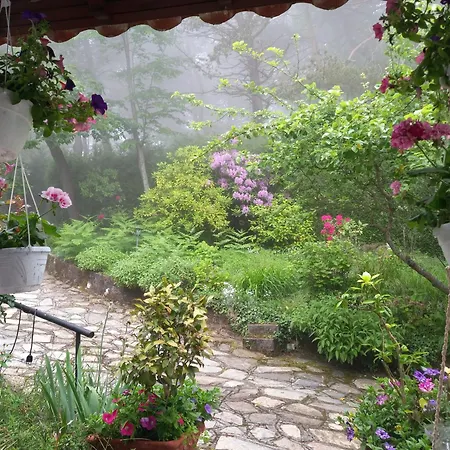 Le Camelie Del Bosco Bed & Breakfast 3*