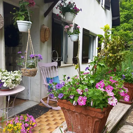 Le Camelie Del Bosco Bed & Breakfast