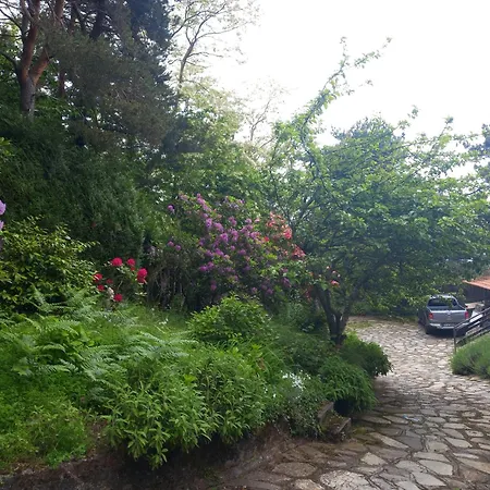 Bed & Breakfast Le Camelie Del Bosco