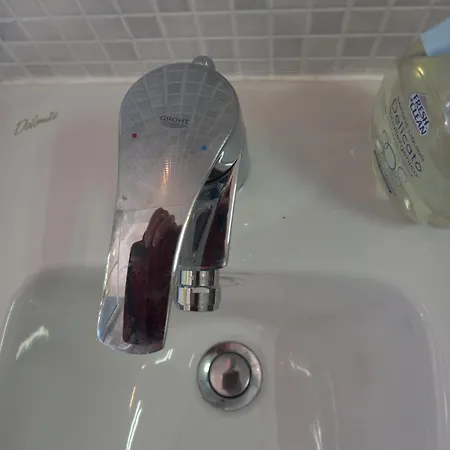 Bed & Breakfast Le Camelie Del Bosco Baiardo