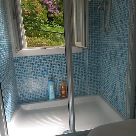 Le Camelie Del Bosco