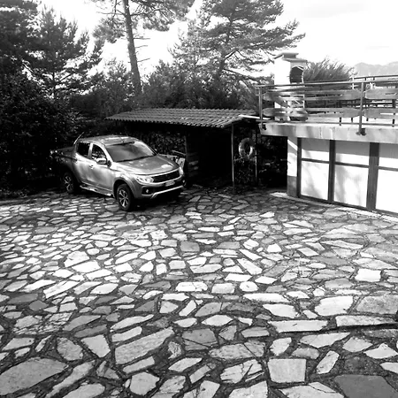 Le Camelie Del Bosco