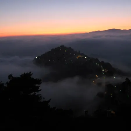 Le Camelie Del Bosco Baiardo