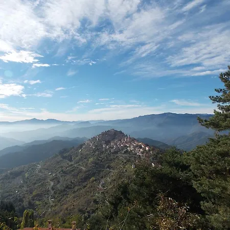Le Camelie Del Bosco Baiardo