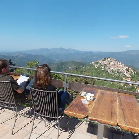 Le Camelie Del Bosco Baiardo