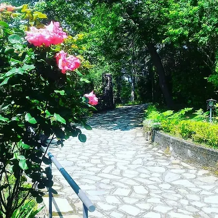 Le Camelie Del Bosco 3*