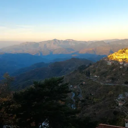 Bed & Breakfast Le Camelie Del Bosco