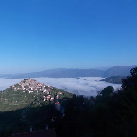 Le Camelie Del Bosco