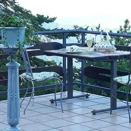 Le Camelie Del Bosco Bed & Breakfast Baiardo