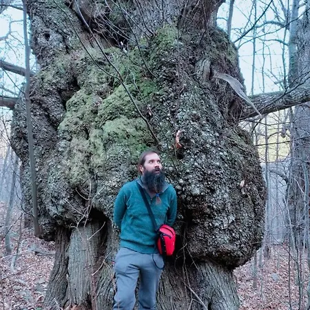 Oda ve Kahvaltı Le Camelie Del Bosco