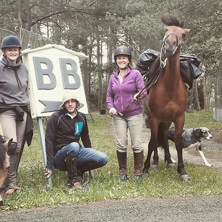 Bed & Breakfast Le Camelie Del Bosco Baiardo