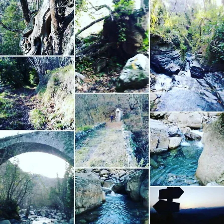 Le Camelie Del Bosco