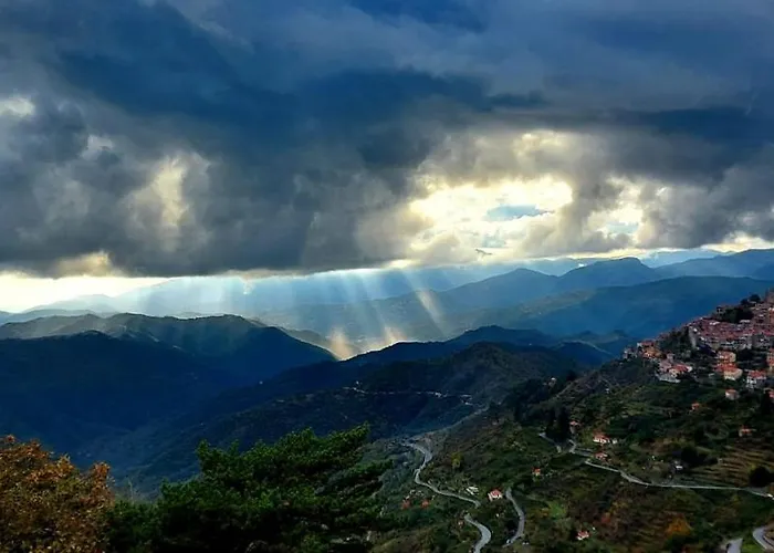 Bed and breakfast Le Camelie Del Bosco 3*