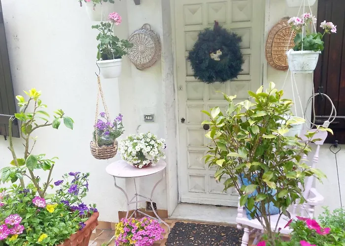 Bed & Breakfast Le Camelie Del Bosco 3*