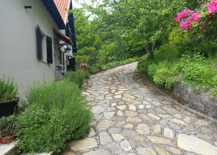 Le Camelie Del Bosco