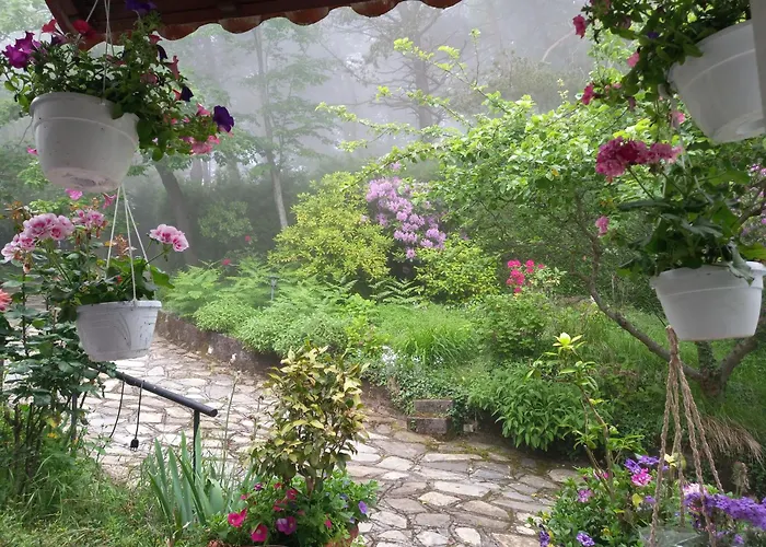 Le Camelie Del Bosco Bed and breakfast 3*