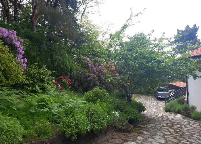 Bed and breakfast Le Camelie Del Bosco