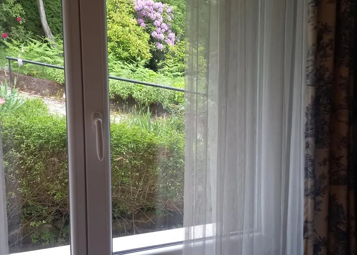 Le Camelie Del Bosco Bed & Breakfast Baiardo