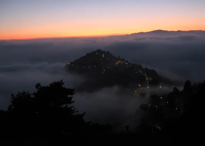 Le Camelie Del Bosco Baiardo