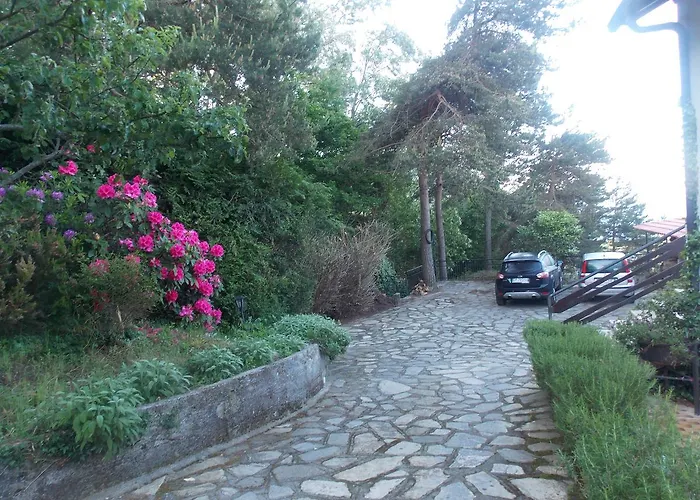 Bed and breakfast Le Camelie Del Bosco