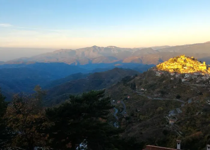 Bed and breakfast Le Camelie Del Bosco