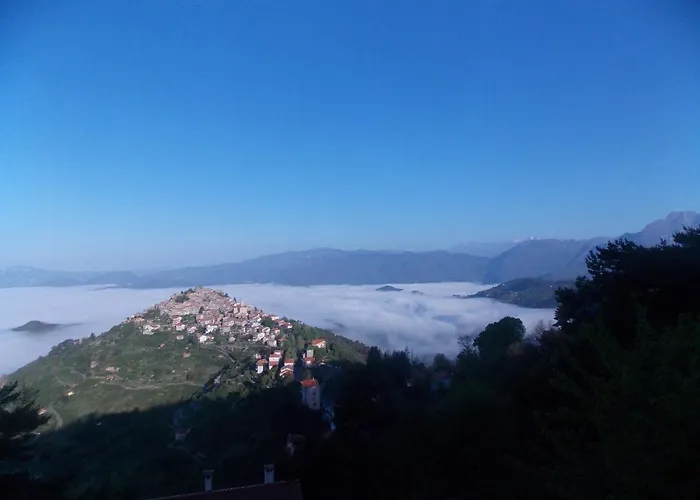 Le Camelie Del Bosco