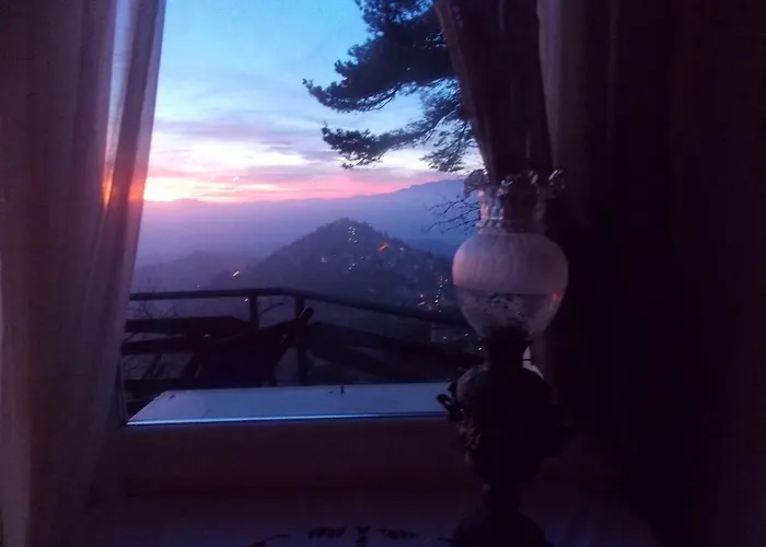 Le Camelie Del Bosco