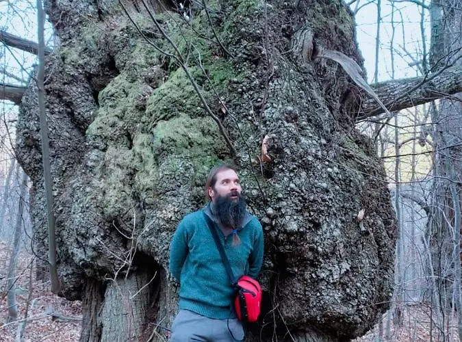 Bed and breakfast Le Camelie Del Bosco