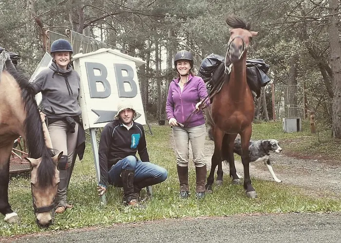 Bed and breakfast Le Camelie Del Bosco Baiardo